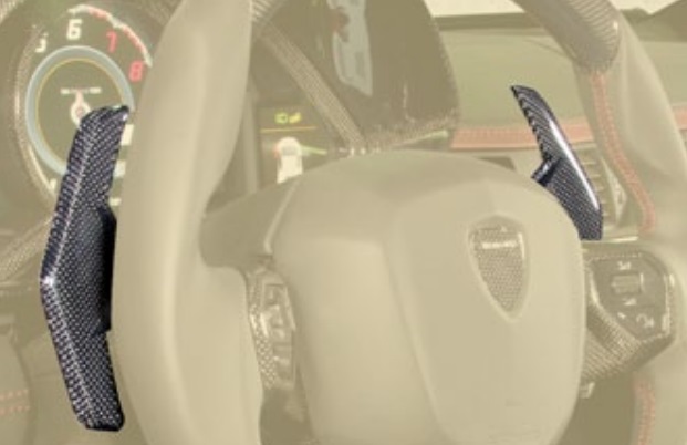 Mansory Carbon Shift and Functional Paddles