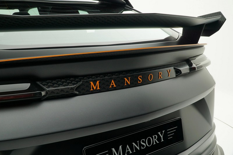 Rear Hatch Panel with Silver Mansory Logo