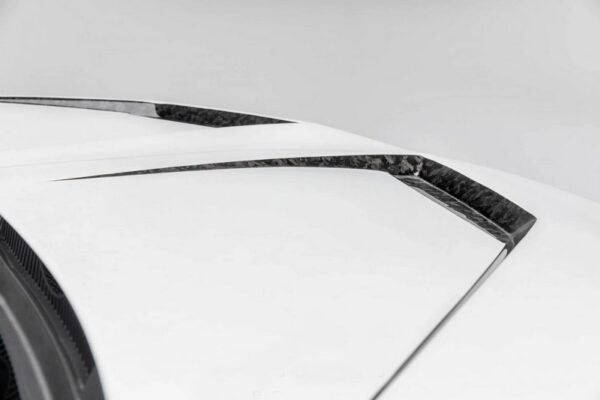 CPE Carbon Hood Mesh for Lamborghini Urus