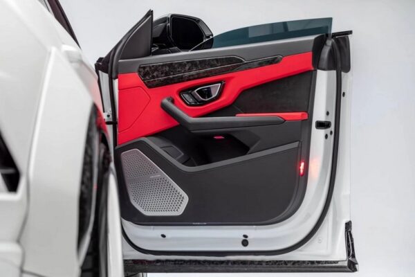 CPE Carbon Outer Door Trim for Lamborghini Urus