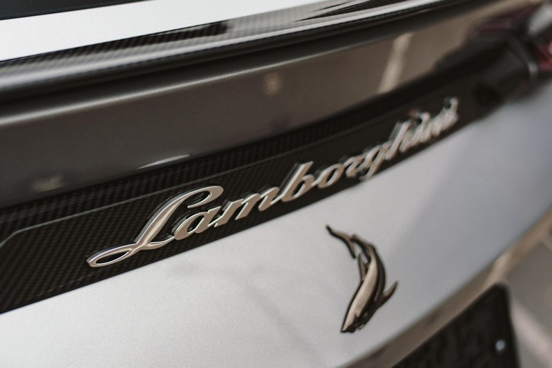 Topcar Plate - Visible Carbon Fiber for Lamborghini Urus