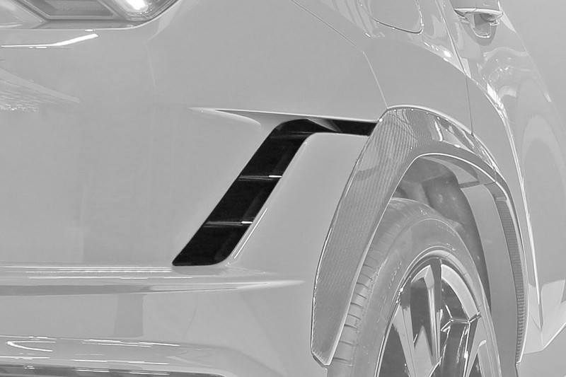 TopCar Side Air Splitters, 2 pcs, Visible Carbon Fiber Lamborghini Urus Performante